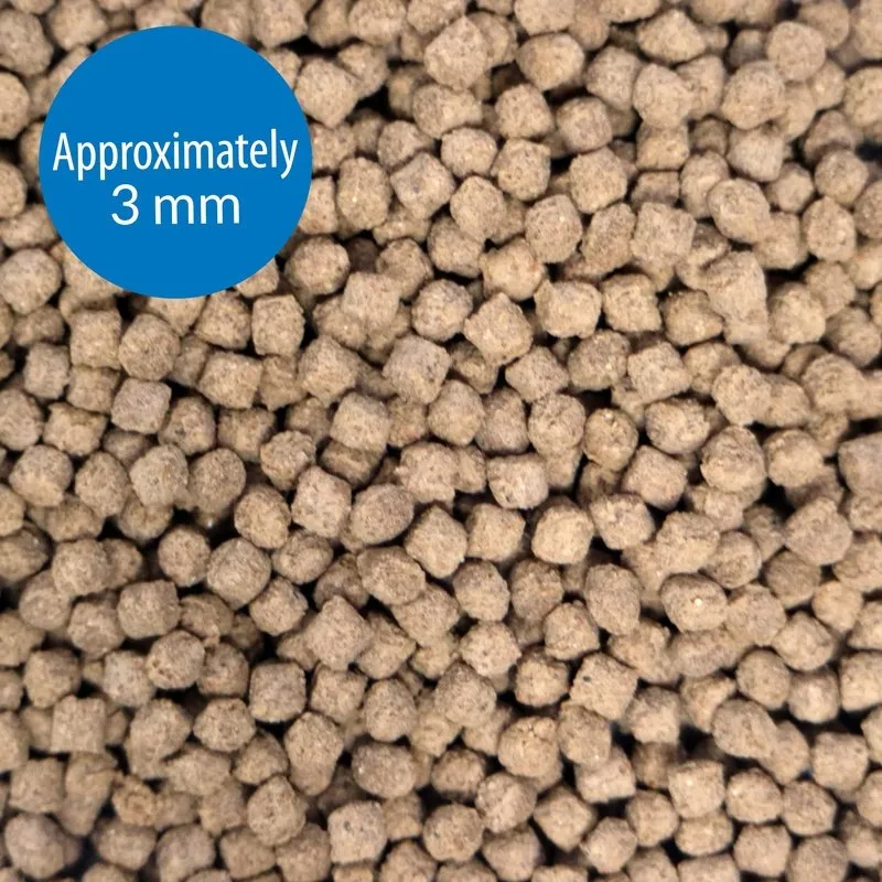 API Bottom Feeder Pellets with Squid