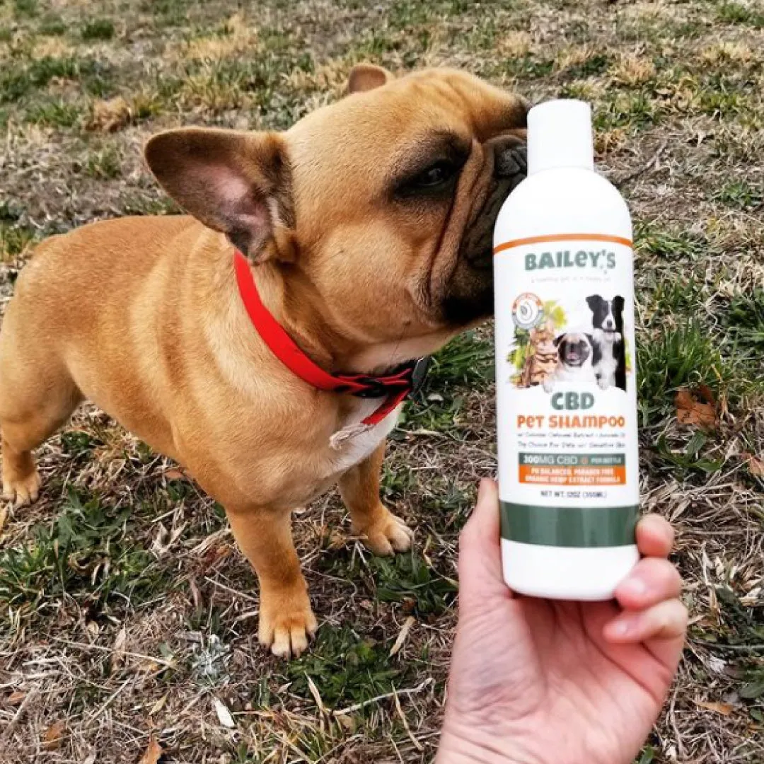 CBD Pet Shampoo