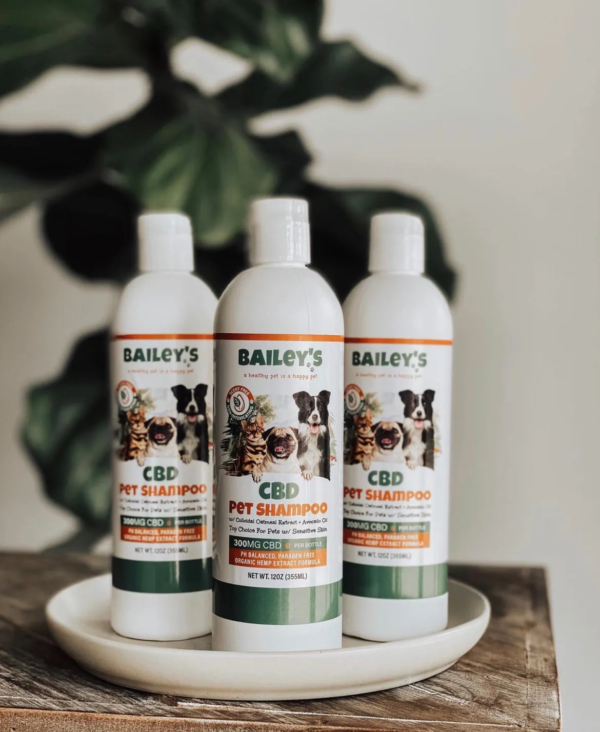 CBD Pet Shampoo