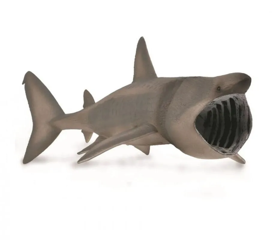 Collecta Basking Shark (Grey)