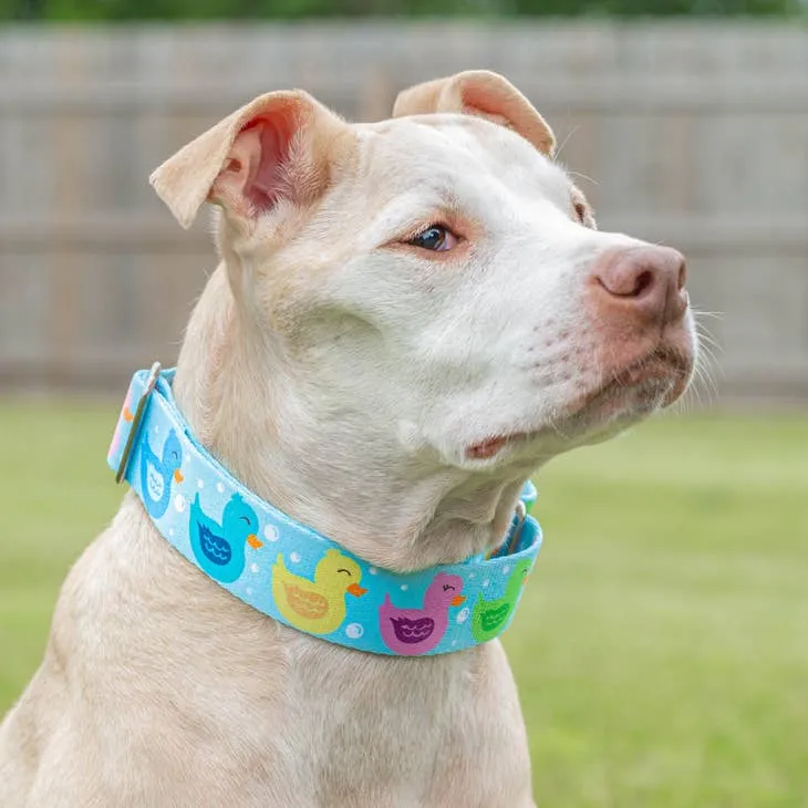 Colorful 'So Duckin' Cute' Collar - Pittie Clothing Co.