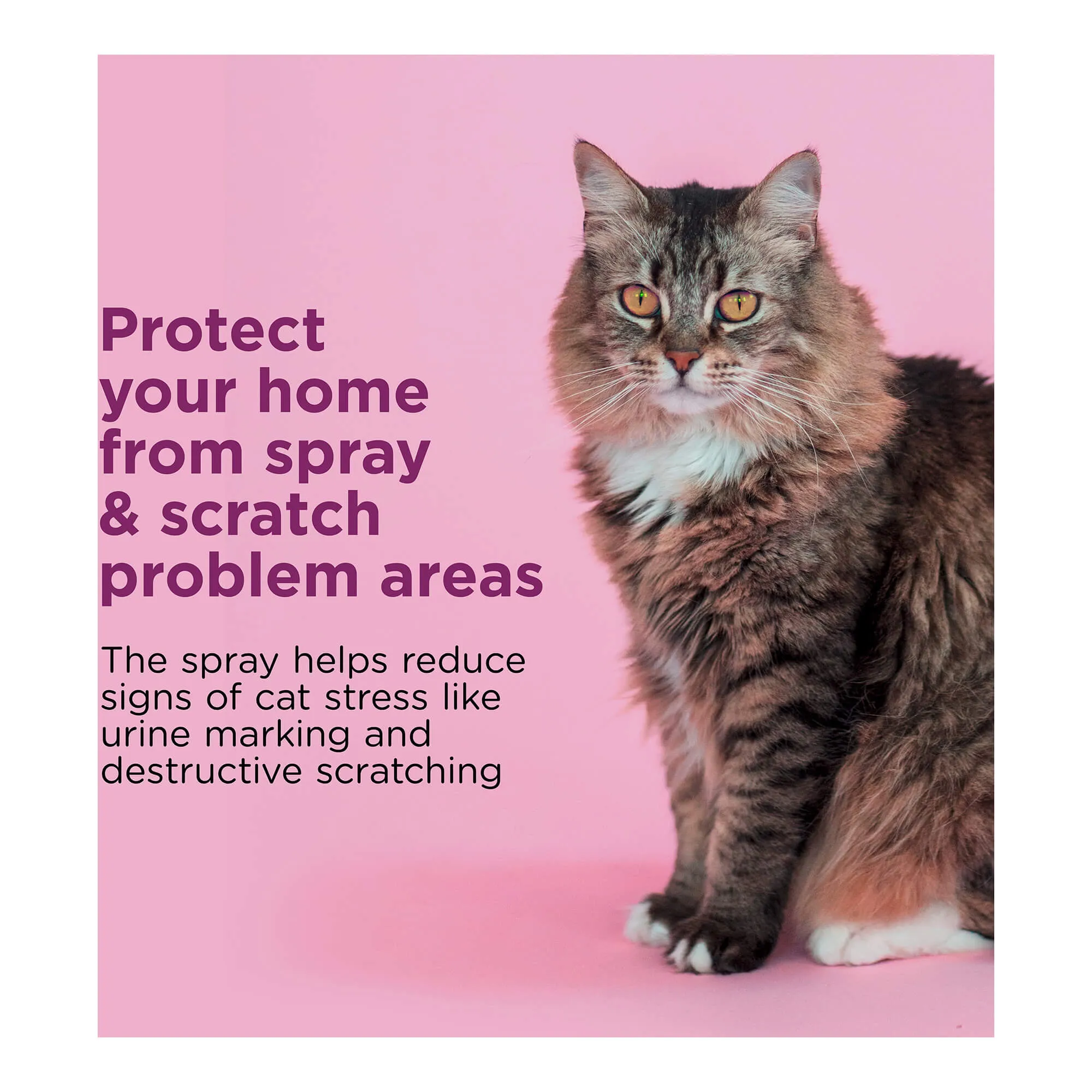 Comfort Zone Scratch Deterrent and Calming Spray