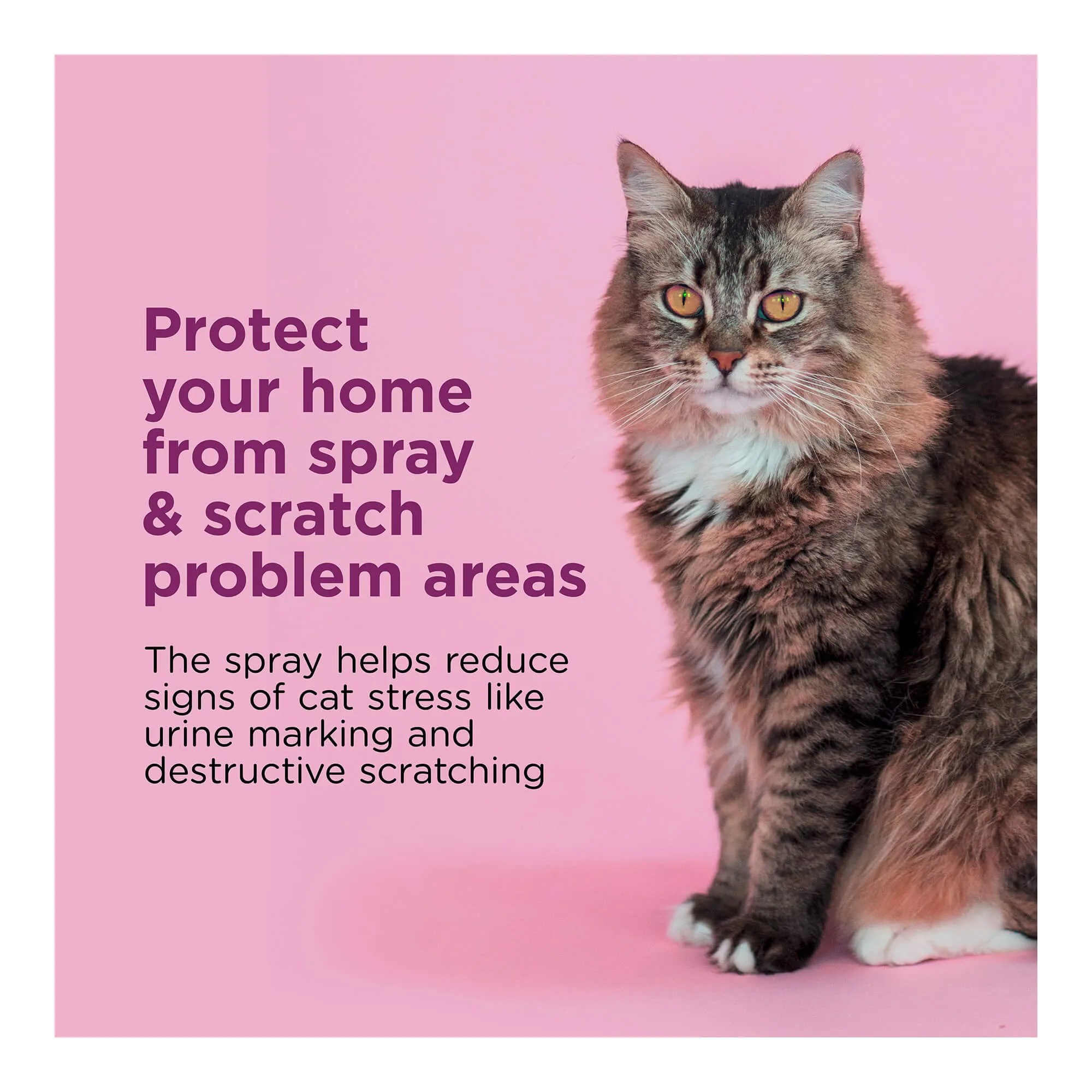 Comfort Zone Scratch Deterrent and Calming Spray