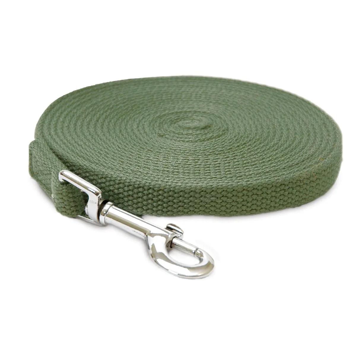 Cotton Web Dog Training Lead, 6'