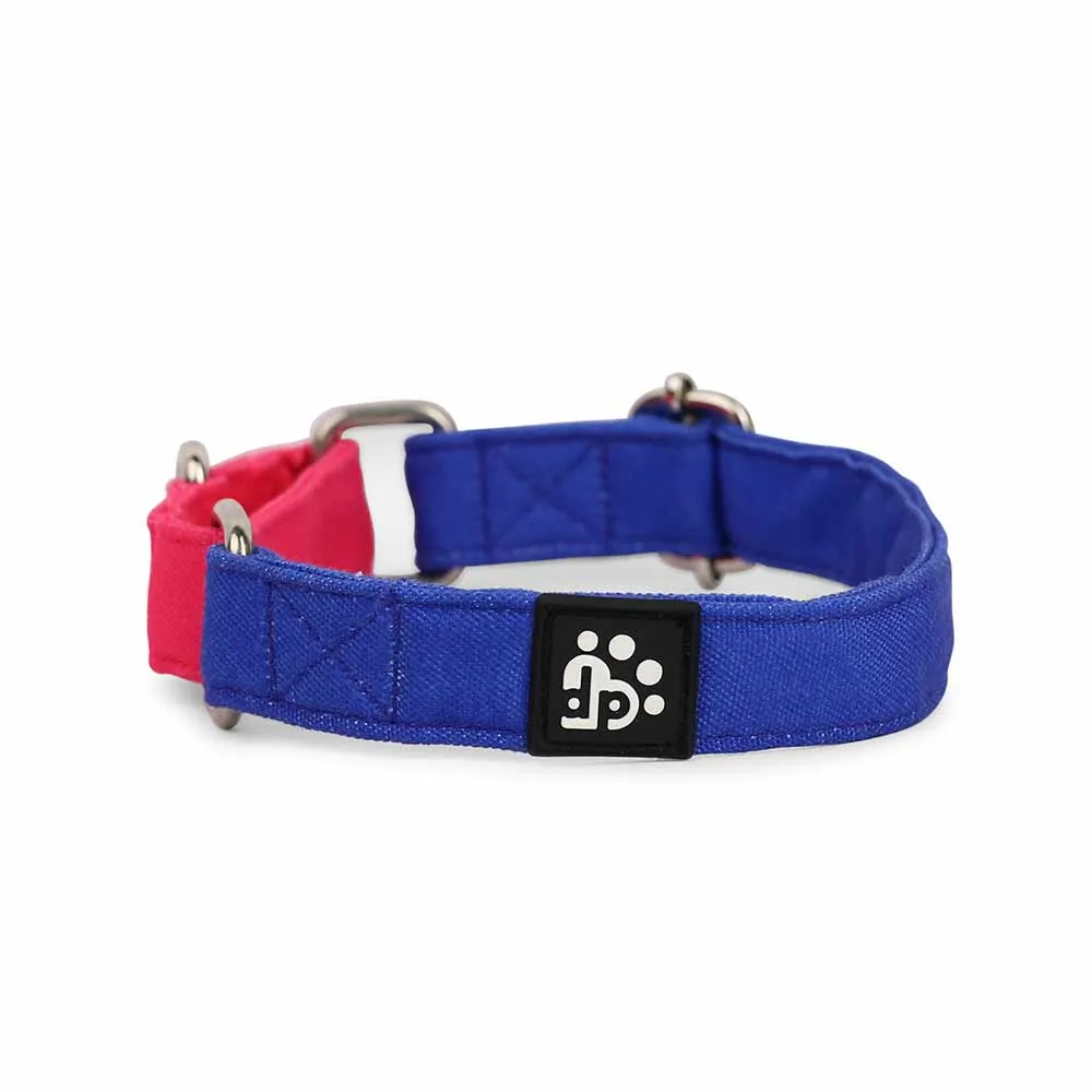 Dear Pet Double Trouble Martingale Blue & Pink Dog Collar