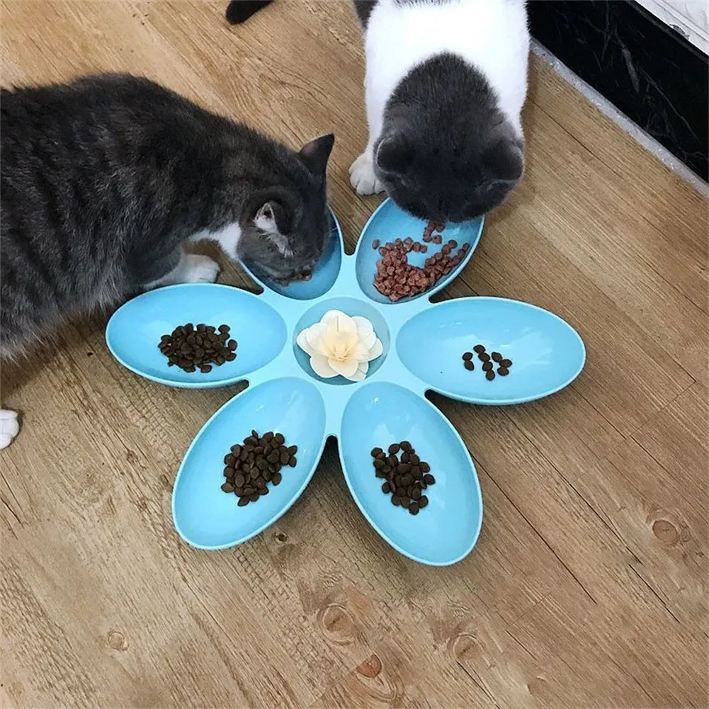 Elevate Pet Dining The Ultimate MultiFunctional Food Bowl