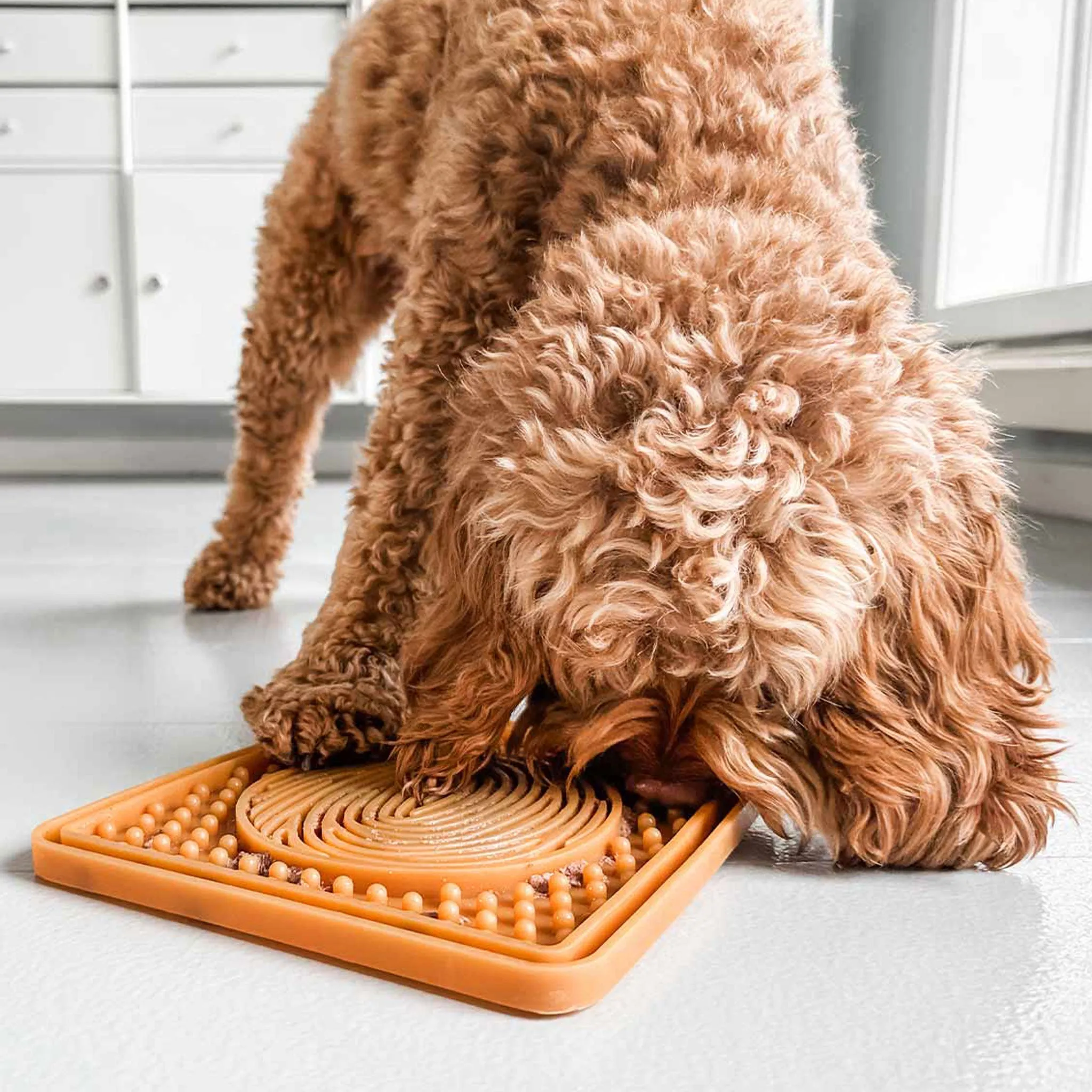 Hevea Natural Rubber Dog Licking Mat