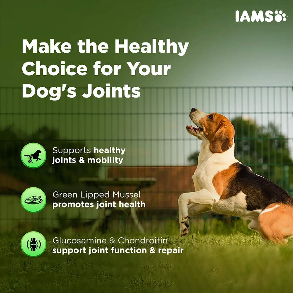 IAMS Proactive Health Dog Supplement For Joint Support