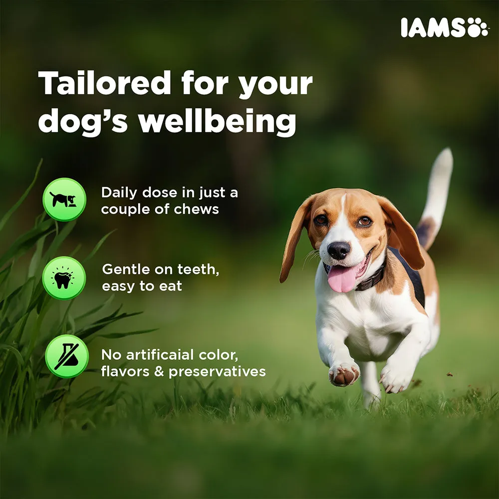 IAMS Proactive Health Dog Supplement For Joint Support