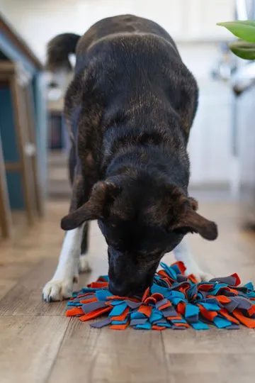 Messy Mutts Round Forage Mat