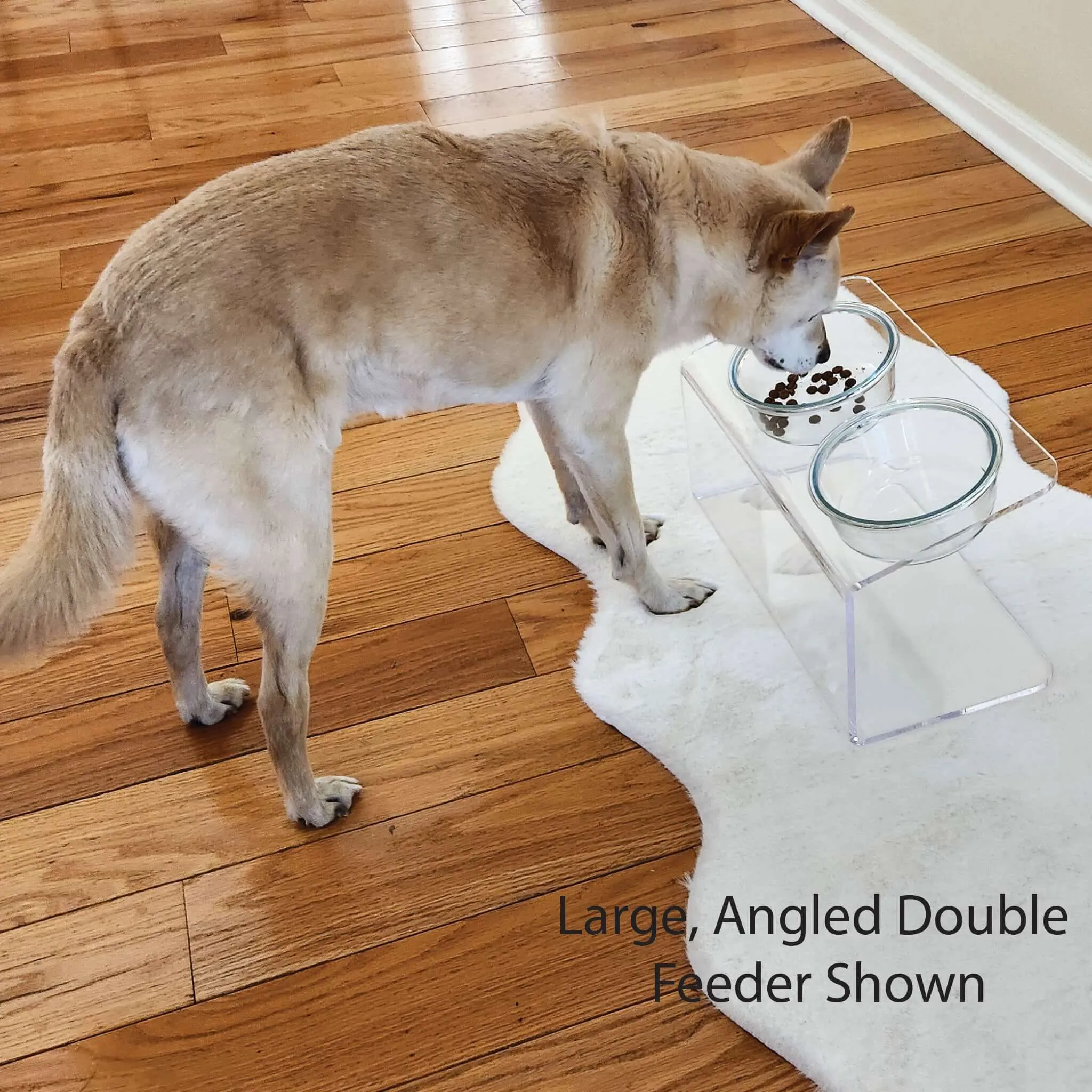 Modern Acrylic Glass Bowl Feeders, Angled Style, Single Bowl