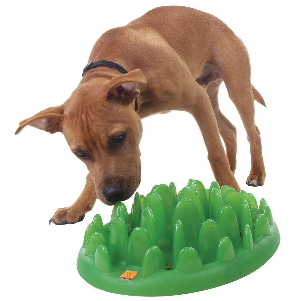 Northmate Green Interactive Slow Feeder Dog Bowl