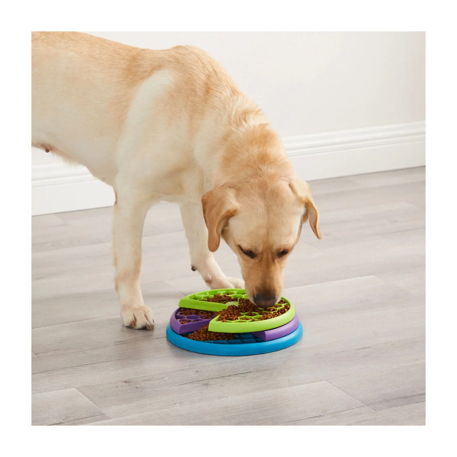 Outward Hound Dog Lickin' Layers Slow Feeder Dog Bowl