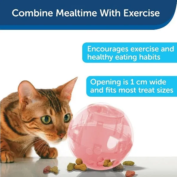 PetSafe SlimCat Interactive Feeder Cat Toy