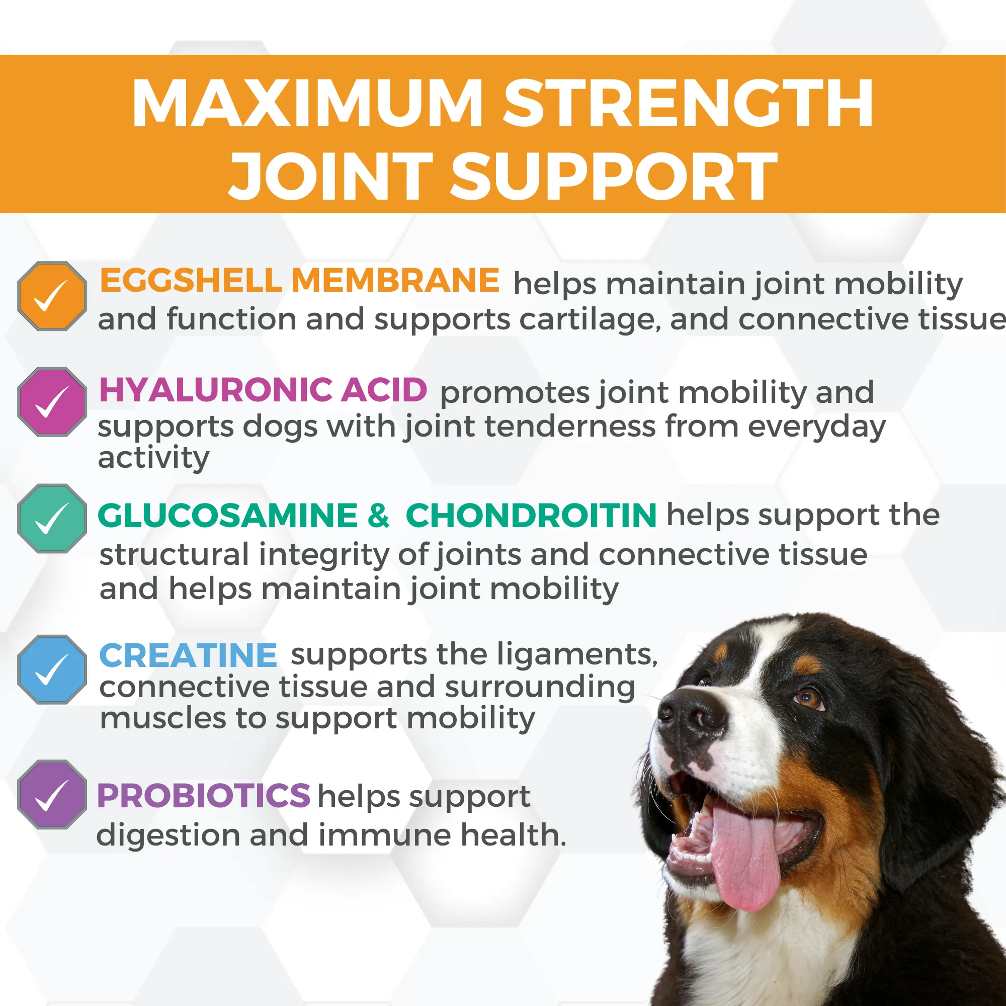 ProgilityMax Hip & Joint Soft Chew Supplement | with Eggshell Membrane