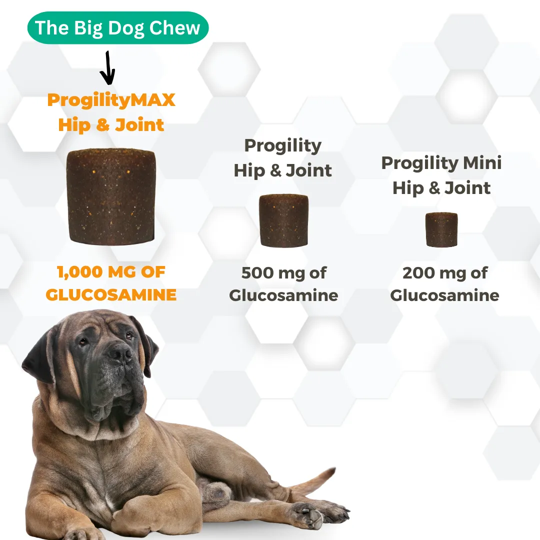 ProgilityMax Hip & Joint Soft Chew Supplement | with Eggshell Membrane