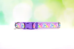 Rainbow Butterfly Dog collar , Purple dog collar, Purple cat collar, Rainbow dog collar, Cute dog collar, Girl dog collar, Adjustable Collar