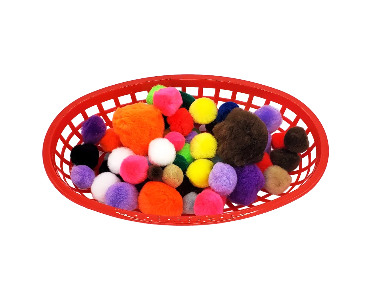 Sugar Glider Ball Pit