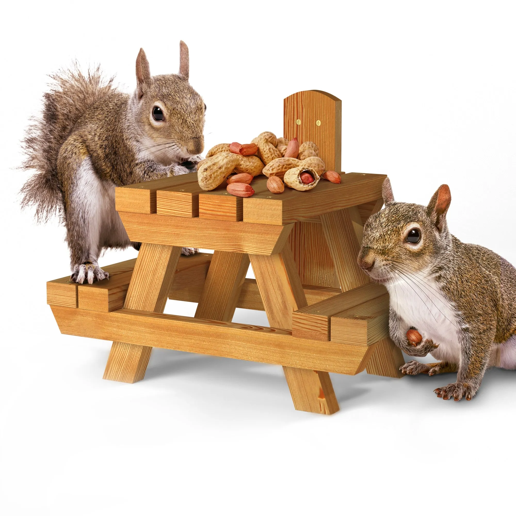 The Great British Anti-Bacterial Squirrel Picnic Table With Lunch Box Feeder