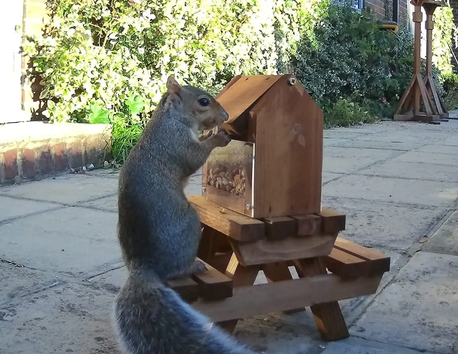 The Great British Anti-Bacterial Squirrel Picnic Table With Lunch Box Feeder