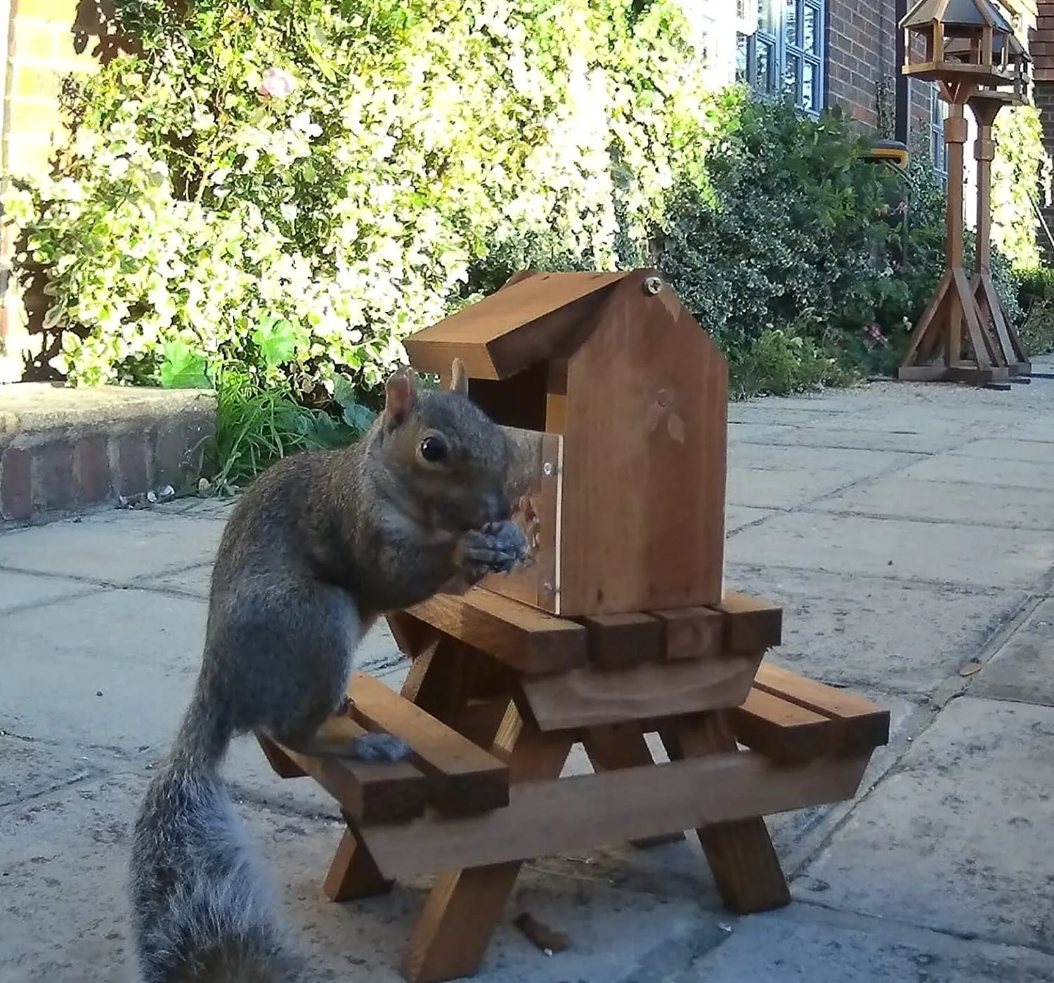 The Great British Anti-Bacterial Squirrel Picnic Table With Lunch Box Feeder