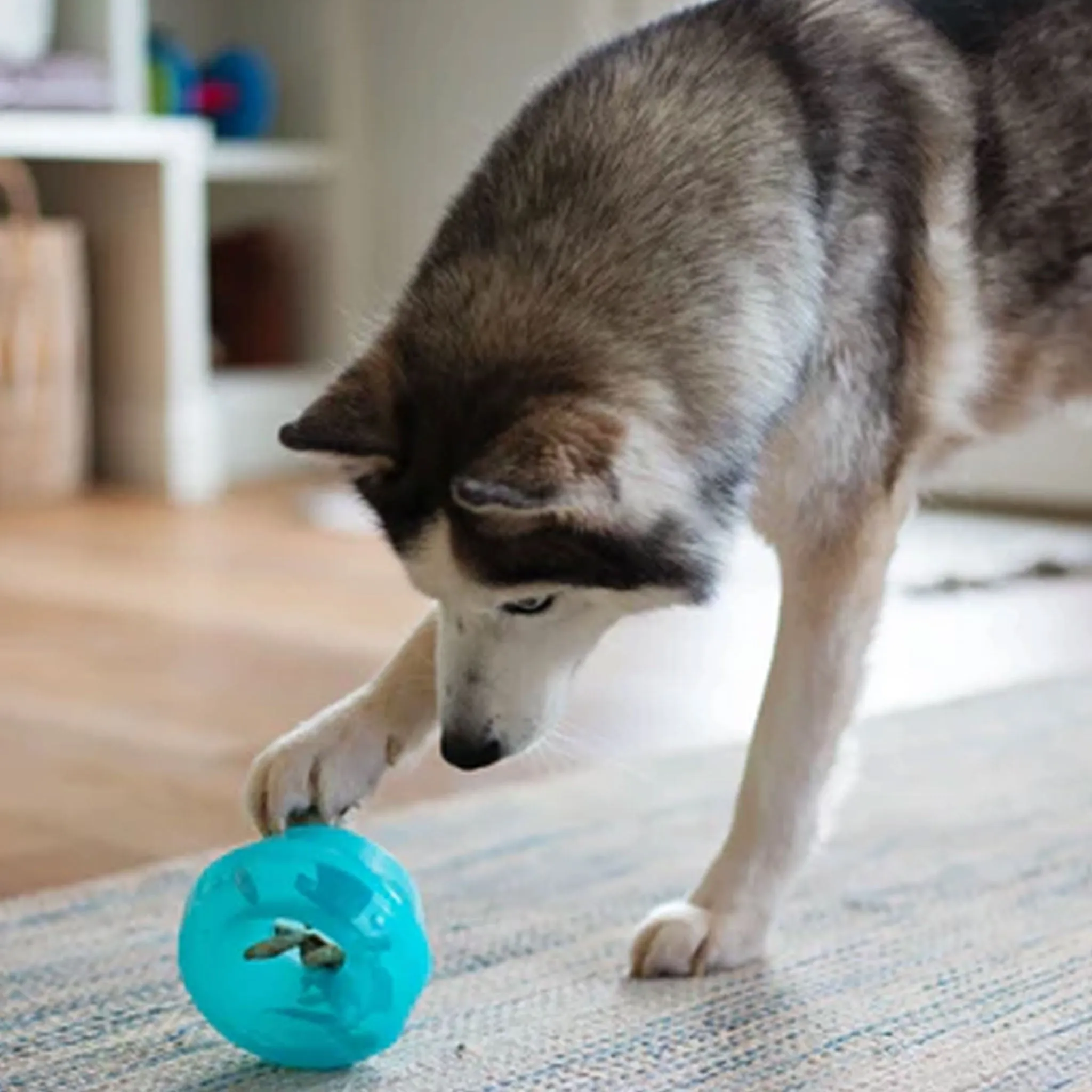 Totally Pooched Stuff'n Wobble Ball Dog Toy