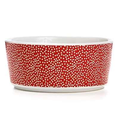 Waggo Specktacular Dog Bowl